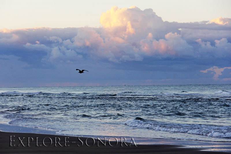 Nubes de la mañana en la playa de Desemboque, Sonora