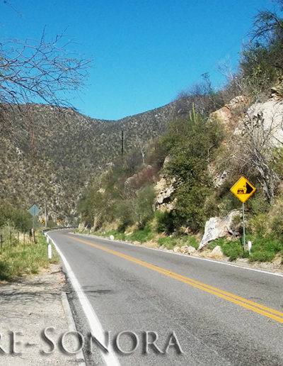 The Rio Sonora pueblo of Baviacora, Sonora, Mexico