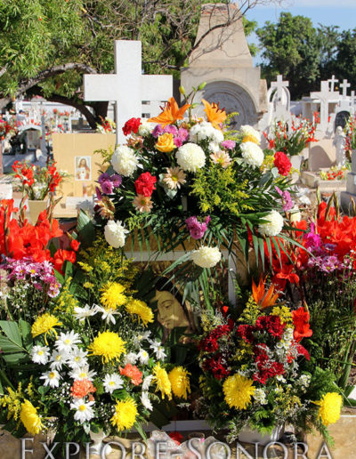 Dia de Muertos flowers in a Sonora, Mexico cemetery