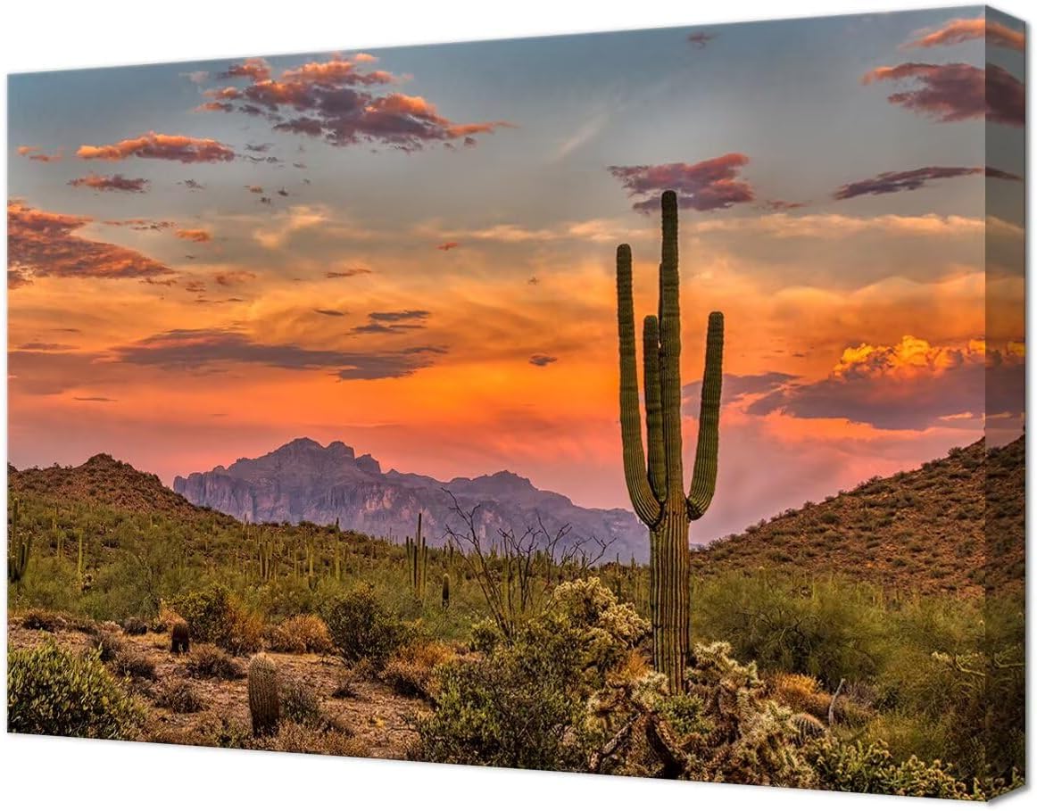 Canvas Print Sunset in the Sonoran Desert