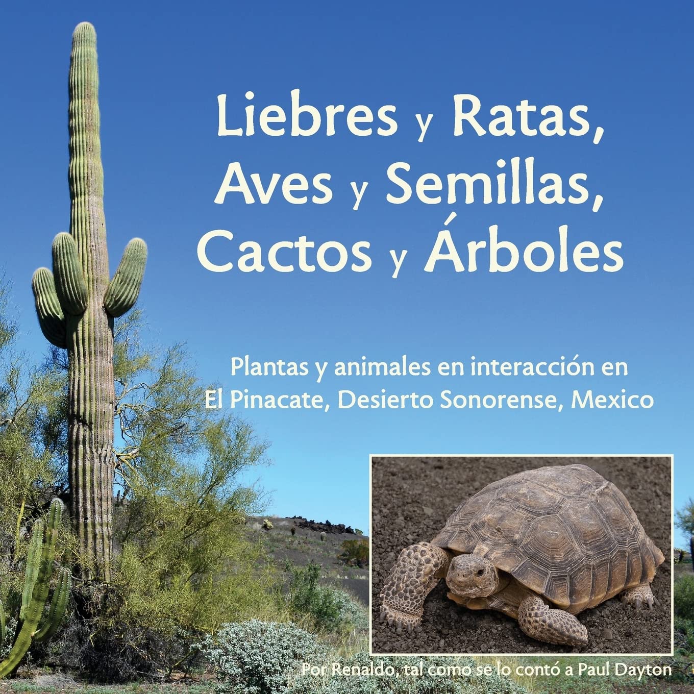Liebres y Ratas y Aves y Semillas