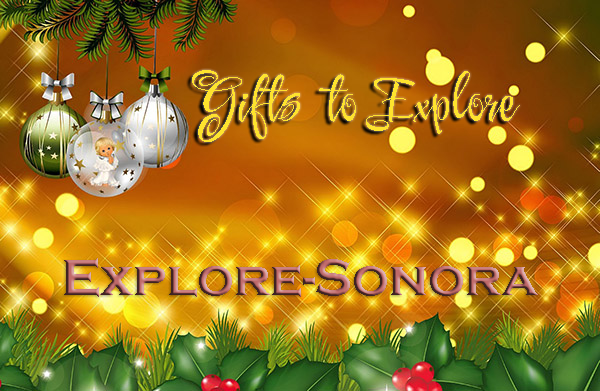 Explore Sonora-themed Gifts