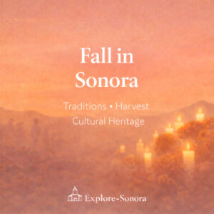 Fall in Sonora