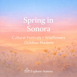 Spring in Sonora